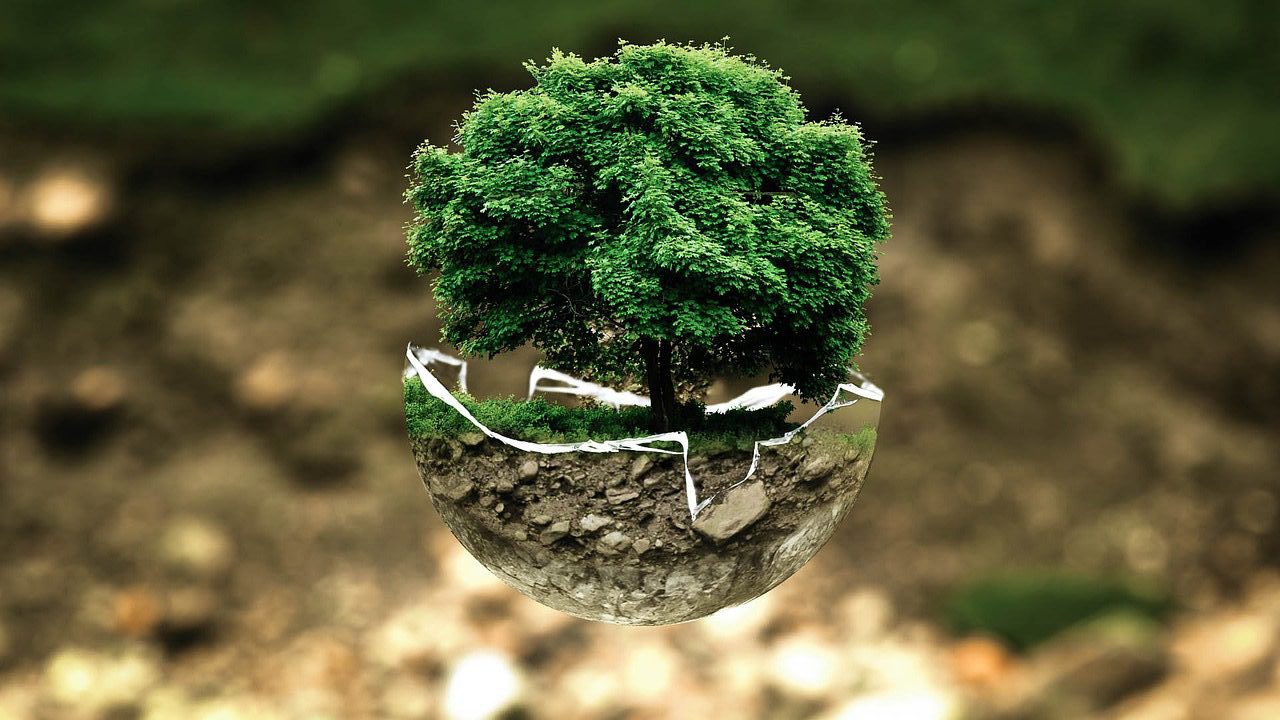 environmental-protection-g247849c60_1280-e1667857204772.jpg
